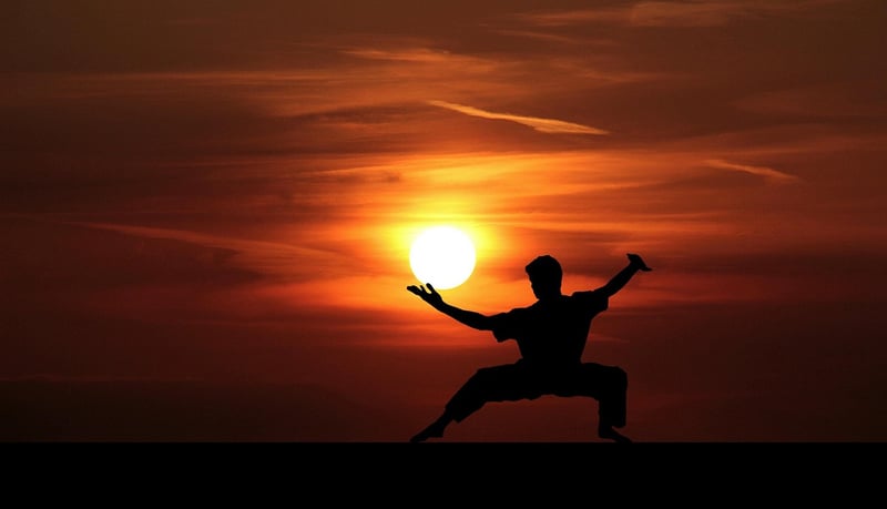 Tai Chi fan